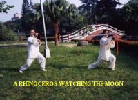 Tai-
Chi