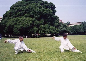 Tai-Chi Chuan